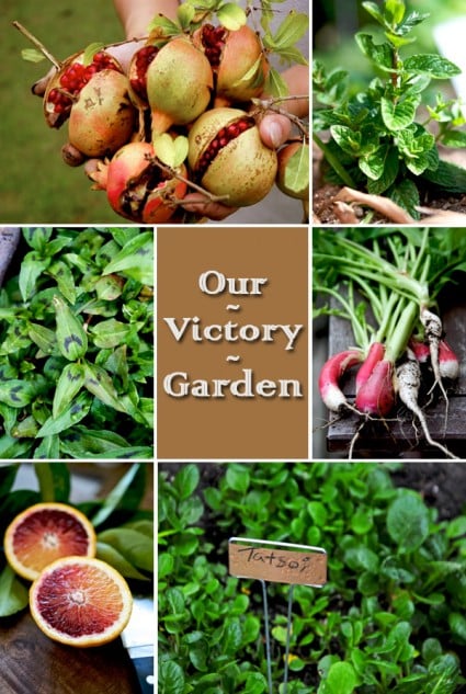 victory-garden-photos