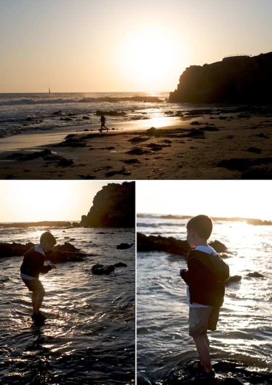 crystal-cove-state-park crystal-cove-state-park