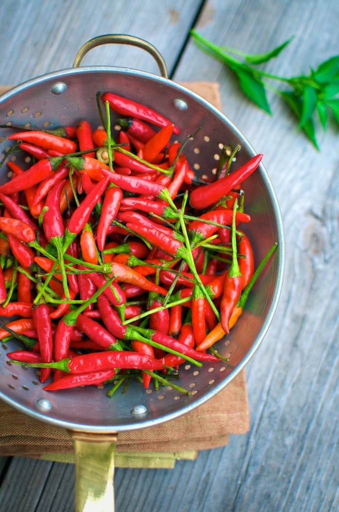 Hot mango sauce recipes