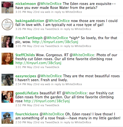 Screen shot 2010-05-30 at 5.38.28 PM