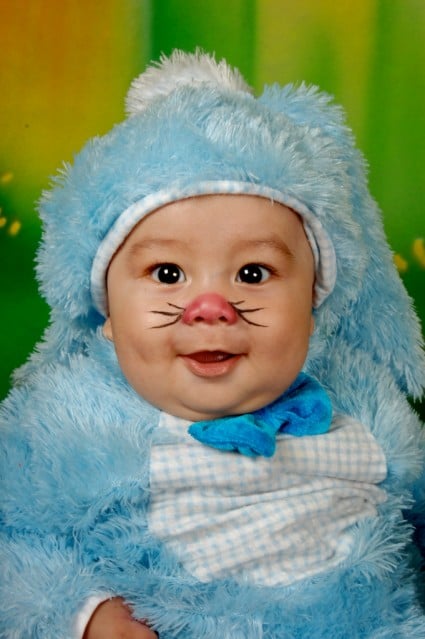 baby bunny baby bunny