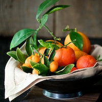 Thumbnail image for Garden Blood Orange Giveaway- or maybe tangerines? kumquats?