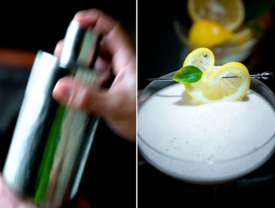how to make cocktail fizz