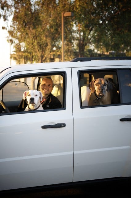 dogs-2-1 dogs-2-1
