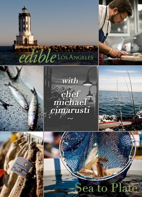 edible-sea-to-plate-collage-1