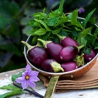 Roasted Eggplant with Mint