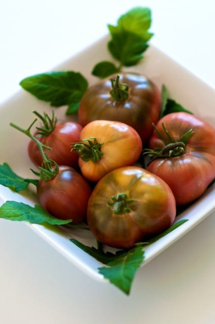 fresh-tomato-ketchup recipe