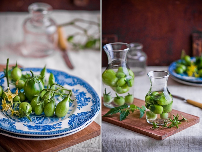 Pickled+green+cherry+tomatoes+recipes