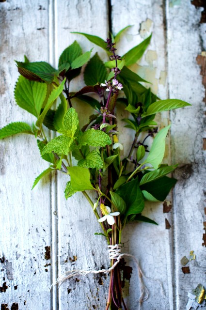 vietnamese herbs vietnamese herbs
