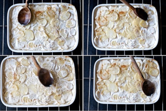 potato gratin dauphinois recipe potato gratin dauphinois recipe