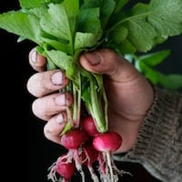 radish greens recipe 