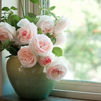 Thumbnail image for Video – Spring Garden 2010. Welcome.