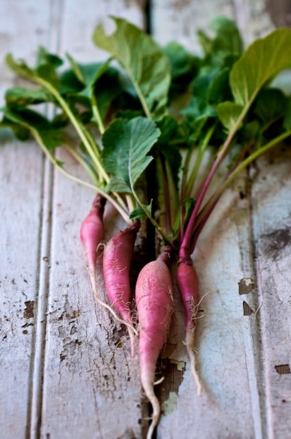 radish tops recipe radish tops recipe