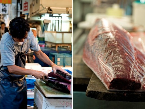 tsukiji-japan-fish-market