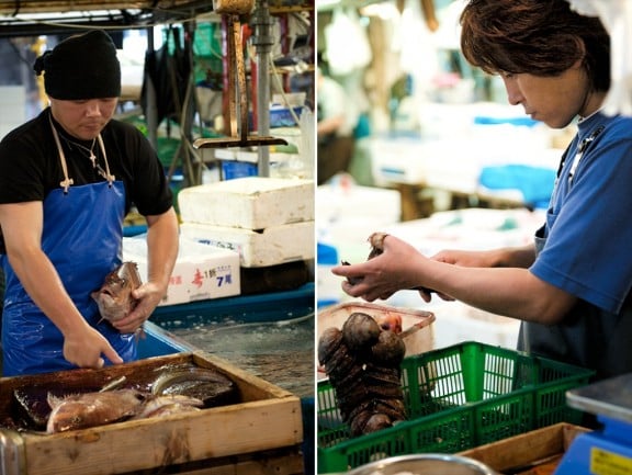 tsukiji-japan-fish-market-