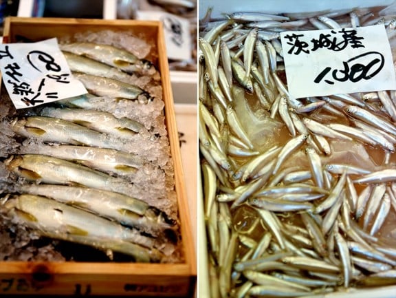 tsukiji-japan-fish-market