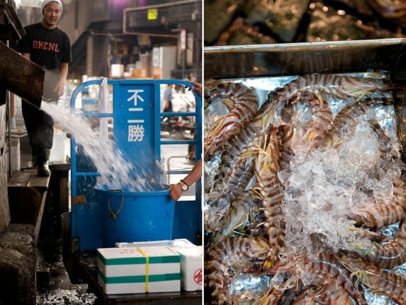 tsukiji-japan-fish-market