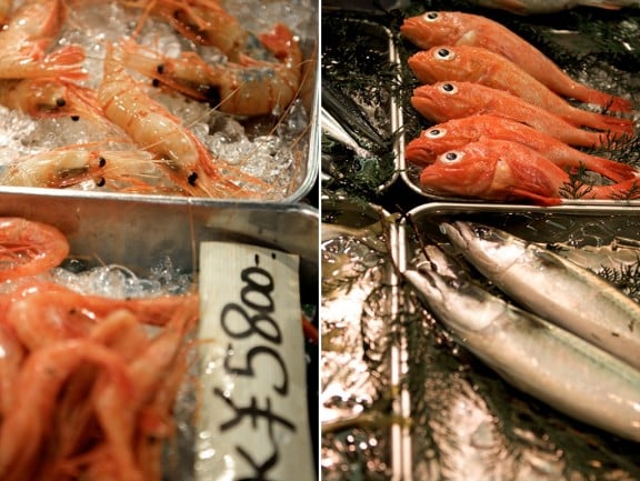 tsukiji-japan-fish-market-