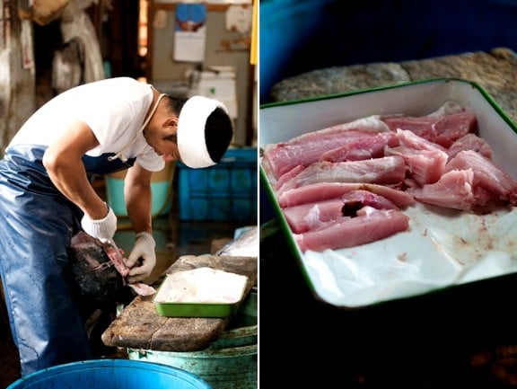 tsukiji-japan-fish-market