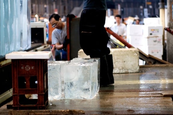 tsukiji-japan-fish-market
