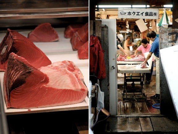 tsukiji-japan-fish-market