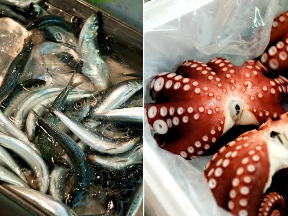 tsukiji-japan-fish-market