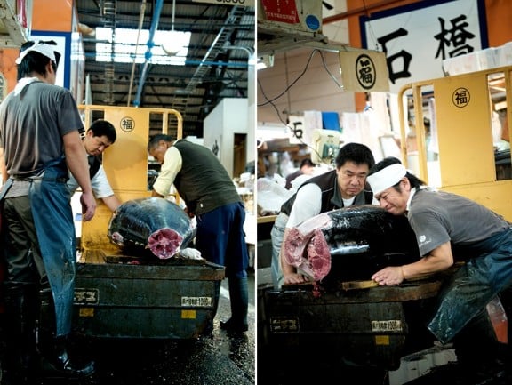 tsukiji-japan-fish-market
