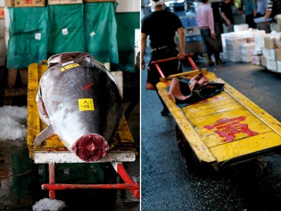 tsukiji-japan-fish-market
