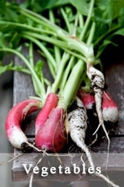 victory-garden-vegetables-page