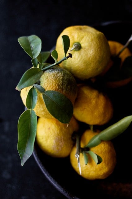 yuzu japanese citron lemon yuzu japanese citron lemon